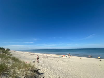 The image shows a sunny day at a sandy beach in Lesnoy, Russia. The foreground features sand dunes with tall, dry grass. The middle ground is a wide expanse of light-colored sand with scattered beachgoers and beach umbrellas. In the background, the calm, blue sea stretches to the horizon under a clear, bright blue sky.
There are several people on the beach. A man in black swim trunks stands near the foreground dunes, facing away from the camera. Further down the beach, a group of people are gathered, some seated and some standing, near a red and yellow umbrella. A person in a yellow shirt is walking away from the sea on the right side of the image, carrying a yellow bag. Some individuals are lying on towels or in the shallow water. Objects visible include beach towels, bags, driftwood, and beach umbrellas. The environment is a typical summer beach scene with the sea meeting the sand under a cloudless sky.