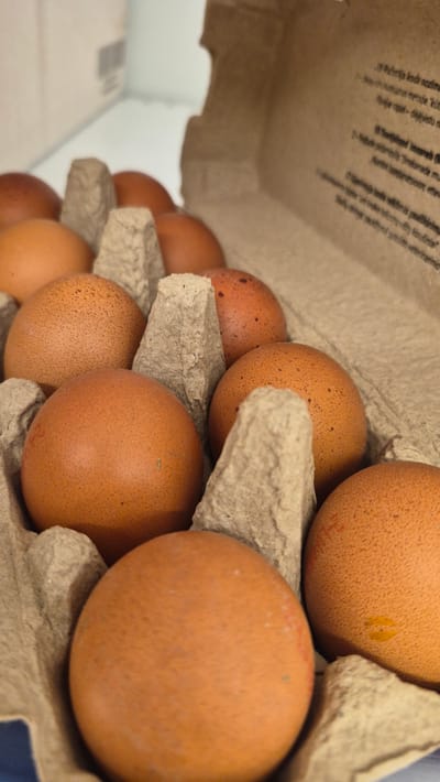 A close-up, overhead view shows a dozen brown eggs in a cardboard carton. The carton is partially open, revealing the arrangement of the eggs. The lighting suggests an indoor setting, possibly a refrigerator or pantry. There are no people visible in the image. The eggs vary slightly in shade and some have speckled patterns. The carton has printed text on its interior flap. The scene depicts a common food item in a packaging container. The location of Līvāni, Latvia, is not depicted or indicated in the image.