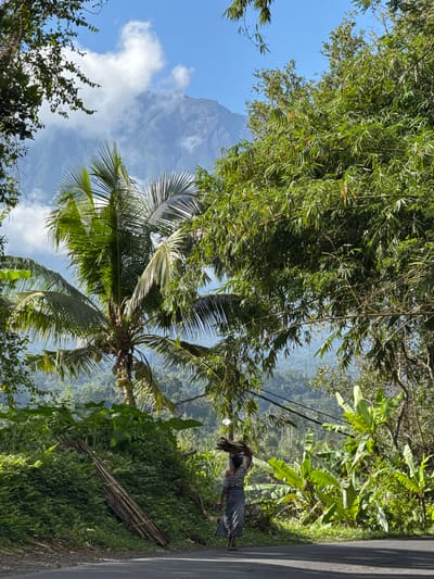 In Sidemen, Indonesia, a person walks down a paved road carrying a bundle of firewood on their head. The person is wearing a striped shirt and a patterned skirt. The surrounding environment is lush and tropical, with a variety of trees and plants, including a prominent coconut palm tree laden with coconuts. In the background, a misty mountain rises against a bright blue sky with scattered clouds. The scene is bathed in sunlight, casting shadows on the road.