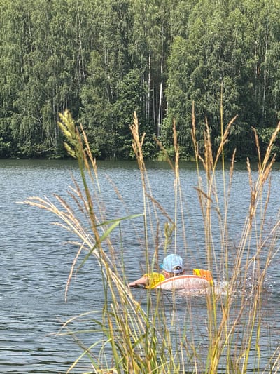 In Gol'yany, Russia, a person wearing a blue cap and a yellow shirt swims in a lake. The person is using a flotation device, which is orange and white. Tall grass is in the foreground, partially obscuring the view of the person and the lake. A dense forest of trees lines the opposite bank of the lake, with a clear sky visible above the trees.