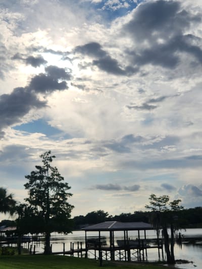 This is a vertical, eye-level, medium shot photograph taken outdoors in Maitland, Florida, United States of America. The image depicts a body of water under a cloudy sky. The sky is filled with a mix of dark and light gray clouds, with the sun peeking through in the upper left portion of the frame, creating a bright halo effect.
In the foreground, to the left, a portion of a green lawn is visible. A tall, slender tree with dark green foliage stands prominently in the middle of the frame, silhouetted against the sky. To the left of this tree, a palm tree is partially visible.
Extending into the water from the right side of the frame is a covered boat dock with a silver roof supported by dark wooden pillars. Another similar structure is partially visible on the far left. Several boats are docked beneath the structures. The water reflects the sky and the surrounding trees and docks, creating a muted, watery effect.
In the background, a dense line of dark green trees forms the horizon, separating the water from the sky. The overall atmosphere is serene and peaceful, with the dramatic clouds adding a sense of depth and grandeur to the scene.