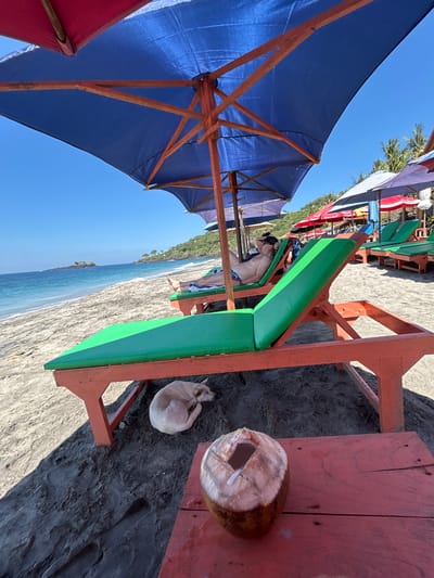 On a beach in Karangasem, Indonesia, a person lies on a green-cushioned chaise lounge under a large blue umbrella. The person is wearing patterned swim trunks and sunglasses. To the left, the ocean meets the sandy shore, with a small island visible in the distance. A tan dog sleeps curled up on the dark sand near another chaise lounge. In the foreground, a partially opened coconut sits on a red wooden table. In the background, more umbrellas and chaise lounges are set up along the beach, with lush green hills rising behind them. The sky is clear and blue.