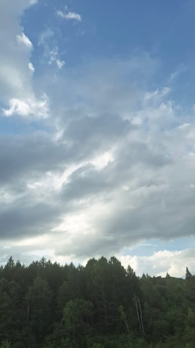 The image depicts a landscape with a dense forest in the foreground and a cloudy sky above. The forest comprises various types of trees, with a dark green canopy that extends across the entire width of the frame. The sky is filled with a mix of light and dark clouds, with patches of blue sky visible in some areas. There are no people or man-made structures evident in the image. The scene appears to be a natural outdoor environment, likely a hilly or mountainous region given the undulation of the tree line. The lighting suggests it is either early morning or late afternoon, with the sun partially obscured by clouds. The location in Budukan, Russia, implies a possibly remote or rural setting with extensive woodlands.