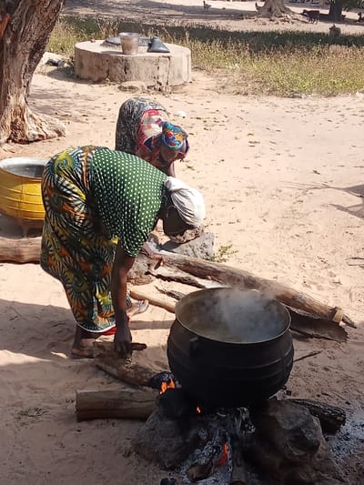 In Doma, Nigeria, two women are engaged in outdoor cooking on a sandy terrain under daylight. The foreground features a woman, clad in a green polka-dot top, patterned skirt, and white headscarf, bent over an active open fire. A large, dark, ribbed cooking pot, emitting steam, rests on stones over the flames and embers. She manipulates a piece of wood near the fire. Behind her, a second woman, wearing a multicolored headwrap and garment, is also bent over, observing. To the left, a yellow metal basin is partially visible near a tree trunk. A concrete wellhead with a metal bucket and a dark object sits in the mid-ground. The environment consists of dry, sandy ground with sparse vegetation. In the background, a chicken and two dark quadrupeds, likely goats, are present.