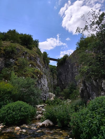 A low-angle shot captures a deep canyon with a narrow stream flowing through it. Steep, rocky cliffs flank the stream, covered in patches of green vegetation and moss. A metal bridge spans the canyon at a high elevation, and power lines stretch across the sky above. Lush green trees and bushes line the canyon floor and climb the sides of the cliffs. The sky is blue with scattered white clouds. The scene is natural and appears to be located in a mountainous or wild area, potentially the region of Komarnica, Montenegro, known for its dramatic gorges and natural beauty.