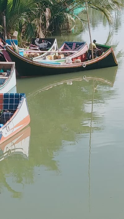 The image depicts a fleet of traditional fishing boats moored in a narrow body of water in Deah Pangwa, Indonesia. The boats are painted in vibrant colors, with intricate designs adorning their sides, suggesting a local cultural significance. Palm trees and lush vegetation line the banks, casting shadows on the tranquil, murky green water.
In the foreground, a white and orange boat with a checkered blue interior is prominently displayed, its reflection rippling on the water's surface. Behind it, a larger, dark-colored boat with a raised prow and stern is laden with goods. A single individual, wearing a light-colored shirt and dark pants, is seated in this boat, appearing to be engaged in some activity. Another boat with a black flag featuring a white scorpion emblem is visible next to it. The overall scene conveys a sense of peaceful, everyday life in a coastal Indonesian community.