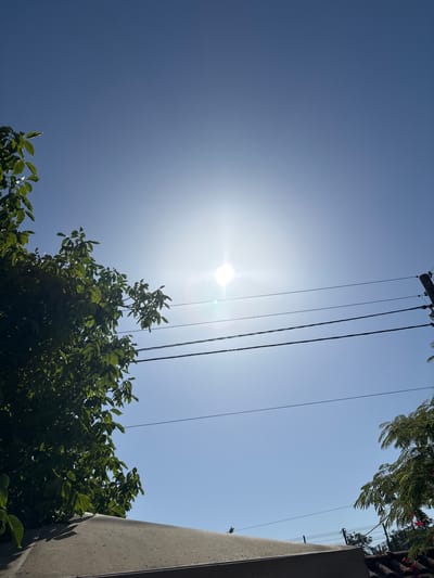 The image captures a bright, sunlit sky in Slanchevo, Bulgaria. The sun is positioned high in the sky, emitting a strong glare. In the foreground, a portion of a grey, angular structure, possibly a roof or a wall, is visible at the bottom. To the left, a lush green tree with dense foliage extends into the frame, its leaves casting shadows. Three parallel power lines stretch horizontally across the middle of the image, suspended by a wooden utility pole on the right. A smaller tree with feathery leaves and some pink flowers is seen on the far right. A wire fence is also visible in the background on the right side. The overall scene depicts an outdoor environment on a clear, sunny day.