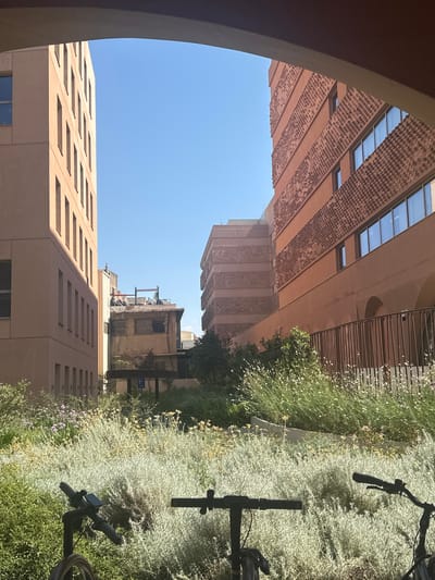 The image shows a view through an archway onto a street scene in Thessaloniki, Greece. On the left is a modern, light-colored building with multiple floors and evenly spaced windows. To the right, a reddish-brown building with a patterned facade and large windows dominates the view. Between these buildings, an older, weathered structure is visible, with a rooftop that appears to have some equipment. The foreground is filled with lush greenery, including bushes and flowering plants, with the handlebars of two electric scooters visible in the lower portion of the image. The sky is clear and blue. The architectural style suggests a contemporary urban setting.