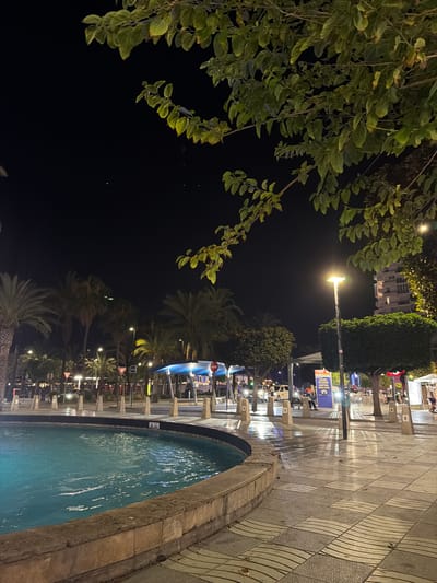 The image depicts a night scene in Sant Antoni de Portmany, Spain, likely along the promenade or a public square. In the foreground, a circular fountain with vibrant turquoise water is partially visible on the left. The fountain's edge is made of rough stone. Adjacent to the fountain is a paved walkway, composed of square tiles with a patterned design that reflects light from street lamps.

The background reveals a street lined with palm trees and manicured bushes, illuminated by streetlights. Several vehicles, including cars and what appears to be a taxi, are present on the road. A bus stop shelter with a blue roof is situated along the street. Buildings, some of which appear to be apartment complexes, are visible further in the background, with lights on in some windows. A tall, solitary lamppost with a bright light is positioned on the right side of the walkway, casting long shadows across the tiled surface. The sky is dark, indicating it is nighttime.

A few people are visible in the mid-ground and background, walking or standing near the bus stop and along the street. One person is seated on a bench. Traffic lights and various road signs, including triangular warning signs and a rectangular taxi sign, are also present. The overall atmosphere is one of a lively, illuminated urban setting at night.
