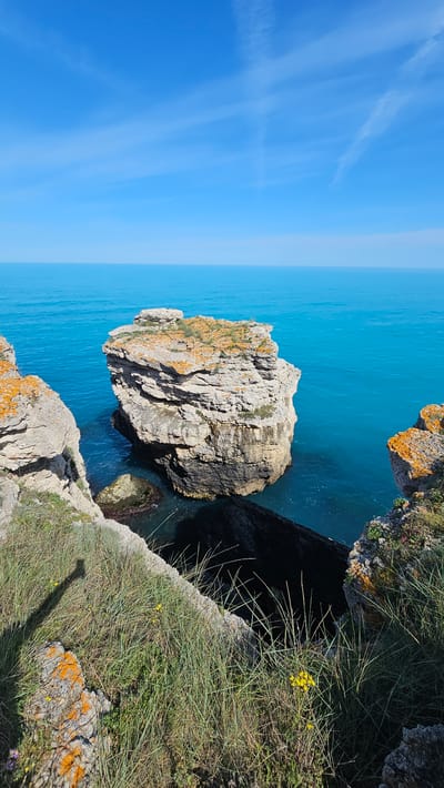 The image captures a coastal scene in Sveti Nikola, Bulgaria. A large, light-colored rock formation stands in the turquoise sea near the shore. The rock is covered in some vegetation, including patches of yellow-orange lichen. The cliffs edge is covered in grass and small plants. The sky is blue with a few wispy clouds.