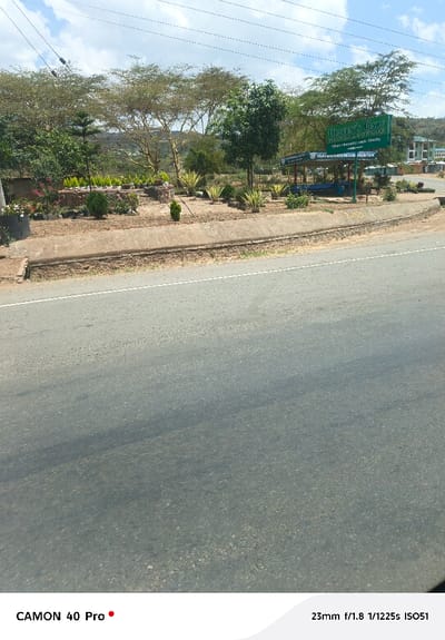 The image displays a roadside scene in Gilgil ward, Kenya, under a partially cloudy sky. The foreground is dominated by an asphalt road with a white broken line on its right side. A concrete curb separates the road from an unpaved median of light brown soil, which features a horticultural display. This display includes various potted plants, shrubs, and succulents, some arranged on low brick structures.

In the midground, a prominent green rectangular sign with white text reads "Heaven's Gate Flowers & Kururia," followed by "Where serenity meets diversity" and "HEAVEN'S GATEWAY MOUNTAIN." Adjacent to this sign is a small, open-sided structure with a blue roof and blue benches. The background consists of numerous trees, some with light-colored bark and sparse foliage, and others with denser green canopies. On the far right, multi-story residential buildings are visible, while distant hills or mountains appear on the left horizon. Overhead utility lines traverse the upper portion of the frame. No individuals are present in the depicted scene.