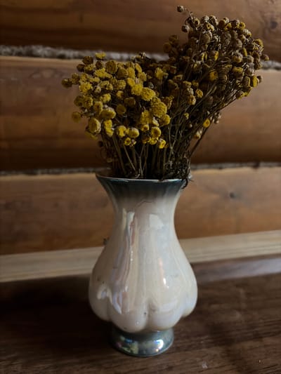 A bouquet of dried yellow flowers is placed in a small, iridescent white vase on a dark wooden surface. The vase has a scalloped base and a flared rim with a subtle blue-green hue. The background consists of horizontally stacked wooden planks, with a lighter colored horizontal strip running across the middle. The lighting is dim and warm, highlighting the textures of the wood and the delicate flowers. The image appears to be a still life composition, likely indoors, with no people present. The location is not specified in the image itself and cannot be determined.