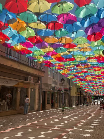 This media file captures an overhead view of a street lined with shops and buildings, adorned with a vibrant canopy of colorful open umbrellas. The umbrellas are suspended at varying heights, creating a striking visual spectacle that stretches down the street. The scene is bathed in bright sunlight, casting intricate star-shaped shadows from the umbrellas onto the cobblestone pavement below.
Several people are visible, walking along the street and interacting with the environment. One person, wearing a white t-shirt and blue jeans, is walking away from the camera on the right side of the frame, with their back to the viewer. Other individuals are seen in the distance, further down the street, some appearing to be patrons of the shops.
The shops lining the street feature large glass windows, displaying various goods and offering glimpses into their interiors. Some windows have signage, including a visible sign that reads "MODA & ACESSÓRIOS" and another that appears to say "Capa Dorée". The architecture of the buildings suggests an urban European setting.
The overall impression is one of a lively, sun-drenched street, transformed by the artistic installation of colorful umbrellas. The bright lighting and the abundance of color evoke a cheerful and festive atmosphere. The presence of people indicates that this is a public space, likely a shopping area or a pedestrian zone, experiencing a typical day. The time of day is clearly daytime, with the strong shadows suggesting the sun is high in the sky. The location is Águeda, Portugal, known for its "Umbrella Sky Project."