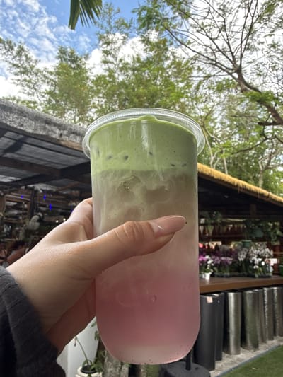 A hand holds a multi-layered beverage in a clear plastic cup. The bottom layer of the drink is pink, the middle is a tan color, and the top layer is green. The hand belongs to a person wearing a gray, long-sleeved shirt. The background includes foliage, building structures, and the sky. The location may be Davie, United States of America.