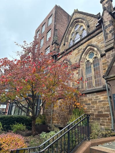 A stone building with gothic windows is partially obscured by a tree with autumn foliage. A newer brick structure is adjacent. A black metal staircase ascends along a stone facade. A sign hangs on the corner of the building. Various greenery and bushes fill the space. The sky is overcast.