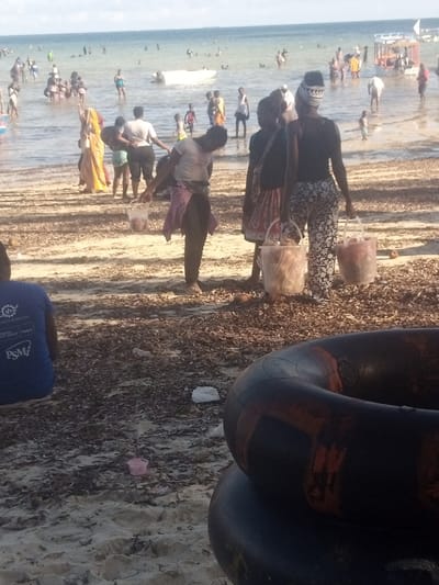 The image depicts a crowded beach scene in Shanzu ward, Kenya, under bright daytime lighting. The foreground shows a sandy expanse heavily covered with dark brown organic debris, likely seaweed. A person in a blue t-shirt with partial white text ("SHANTUOGAL," "PSM") is seated on the sand, facing away from the viewer. Stacked to the right are two dark-colored inflatable rings with reddish-orange markings. Scattered small white plastic debris and a single pink plastic cup are visible on the sand. In the midground, several individuals are positioned near the water's edge. One person, wearing a light shirt and dark pants with a pink garment tied around the waist, is bent over, holding a clear plastic bucket. Adjacent to them, two other individuals stand upright, each carrying a clear plastic bucket filled with items; one wears a dark top and patterned skirt, the other a dark top, patterned pants, and a head wrap. Further left, a person in a multi-colored yellow and red patterned wrap stands close to the water. The background reveals the ocean populated by numerous individuals swimming, wading, or standing in the shallow water. A white object, possibly a small boat or raft, is floating in the water with people near it, and several other small boats are visible farther out under a light blue sky with scattered clouds.