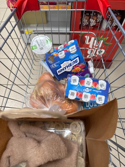 A shopping cart contains an assortment of groceries. Two packs of "Imunelle" yogurt drinks, one with a raspberry flavor and the other with strawberry, sit next to a container of "Smetana" sour cream and a bag of onions. Beyond the onions is a brown cardboard box containing what appears to be frozen dumplings, partially obscured by a fuzzy, beige object. A box of "KitKat" candy bars and a box of "Twix" candy bars are visible in the background of the cart.