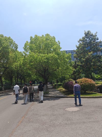 The image shows a group of four people walking away from the camera on a road in Jiangning District, China. The road is lined with trees and bushes. Another man in a blue and purple plaid shirt and jeans stands away from the group and faces away from the camera. A building with multiple windows is visible in the background. There is a manhole cover in the road. The sky is clear and blue.