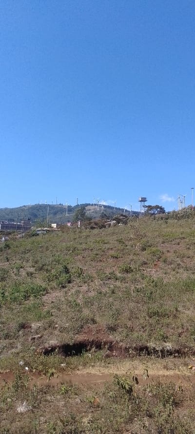 The image captures a wide outdoor landscape under a clear, bright blue sky. The sky dominates the upper half of the frame and is a uniform, cloudless cerulean blue, indicating a sunny day.
Below the expansive sky, a range of rolling hills stretches across the middle ground. These hills are covered with a mix of green and brown vegetation, appearing somewhat dry in places. Perched atop the hills and along their slopes are numerous wind turbines, their white towers and rotating blades clearly visible against the blue sky. They are spread out, forming a wind farm, with some appearing closer and more distinct, while others are more distant and faintly outlined. In addition to the wind turbines, other structures are present on the hills:
* On the right side of the hill, a prominent, dark-colored structure resembling a water tower or an observation platform stands tall. It features a metallic lattice framework supporting a box-like or tank-like top section.
* Further to the left along the hill, other smaller structures, possibly communication towers or electricity pylons, can be seen interspersed among the wind turbines.
* At the lower base of the hills, nestled among the trees, are a few small, low-rise buildings with light-colored walls and dark roofs, suggesting a small settlement or scattered homes.
The foreground of the image consists of an uneven, gently sloping area of land. This area is covered predominantly by sparse, dry-looking scrub, weeds, and grasses, with patches of reddish-brown, exposed soil visible throughout. The vegetation in the foreground appears somewhat wild and unkempt, a mix of light green and yellowish-brown hues. A faint, lighter brown dirt path or track can be seen cutting horizontally across the lower-mid section of the foreground. In the lower-left corner of the foreground, several pieces of white and light-colored debris or litter are scattered on the ground.
The overall impression is one of a vast, open landscape, likely a rural or semi-rural area, characterized by its natural hilly terrain and modern wind energy infrastructure, all bathed in the bright light of a clear day.