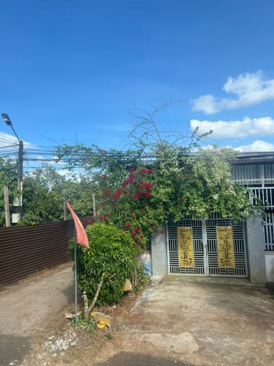 A house with a gray metal gate is partly obscured by abundant white and red bougainvillea. The concrete driveway is cracked and stained. In the foreground, a small Vietnamese flag is planted near a corrugated metal fence. The sky is blue with scattered white clouds. Electrical wires stretch across the frame above a streetlamp.