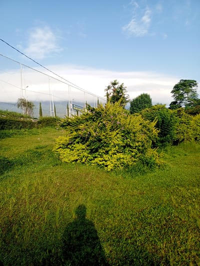 The image depicts a grassy area with several bushes and trees in the background, under a partly cloudy, blue sky. A fence runs along the back of the area. The foreground includes the shadow of a person taking the picture. The location is assumed in Thalang, Laos.