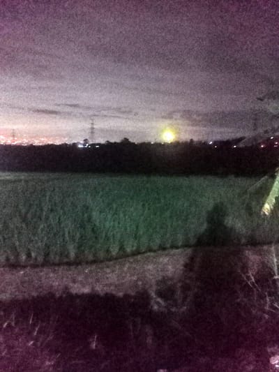 This night-time photograph captures a broad, grainy landscape in Kecamatan Pangalengan, Indonesia, taken from a low vantage point. The immediate foreground consists of dark, textured ground, which transitions into a large, verdant green field in the midground, likely rice paddies. The field stretches across the frame, exhibiting a textured appearance consistent with low-light photography.
A distinct human-shaped shadow is cast from the bottom right corner, extending onto the dark ground and the edge of the green field, indicating the presence of the photographer. On the far right edge of the image, part of a broad, dark leaf, possibly from a banana tree or similar plant, is visible, partially framing the scene.
Beyond the green field, a dark, silhouetted treeline forms the horizon. Above this, numerous small, distant artificial lights dot the background, suggesting a settlement or city. A prominent, intensely bright, yellowish-white light source shines on the right side of the distant horizon, potentially a moon partially obscured by clouds or a strong artificial light. Faint outlines of distant power lines or communication towers can be discerned against the sky in the left-center background.
The sky above is dark and cloudy, characterized by significant digital noise and a purplish hue on the left. The heavy grain and low visibility indicate that the photo was taken at night or during very late dusk. The overall impression is one of a quiet, expansive rural or semi-rural scene under a dark sky. There is no visible text in the image.