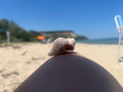 A close-up shot focuses on a small, spiral seashell resting on a person's leg. The seashell has a striped pattern in shades of brown and white, with a visible opening. The leg, dark-skinned, takes up a significant portion of the foreground, with the sand of a beach visible in the background.
The background is out of focus but reveals a beach scene. The sand appears light and grainy. Beyond the sand, the turquoise water of the sea meets a hazy horizon. In the mid-ground, there are hints of vegetation and distant structures, including what looks like an orange umbrella and some poles, suggesting a beach resort or populated area. A cliff face rises in the distance. The sky above is a clear, bright blue, indicating a sunny day. The lighting suggests it is daytime, likely late morning or early afternoon, given the clear sky and bright sunlight casting shadows.
The overall mood conveyed is one of relaxation and enjoyment of a summer day at the beach. The focus on the seashell and the leg implies a personal, intimate perspective, perhaps someone enjoying a moment of quiet contemplation or play on the beach. There is no visible text in the image. The location context of Bliznatsi, Bulgaria, suggests a seaside setting in Eastern Europe.