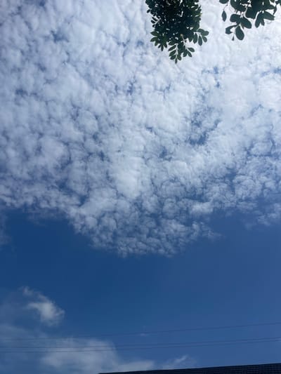 The image depicts a clear blue sky filled with scattered, puffy white clouds. In the upper portion of the frame, dark green foliage from trees hangs into view. The lower section of the image shows a dark, tiled roof of a building, with several thin, dark electrical wires stretched horizontally across the sky. The scene appears to be an outdoor environment, likely in Jimeta, Nigeria, given the provided context. No people or specific actions are visible.