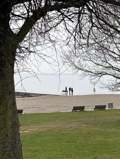 The image shows a scene in Klampenborg, Denmark, likely near the waterfront. Three silhouetted figures are visible on a light-colored paved area, possibly a promenade. They are standing near a small table or bench. To the right of the paved area is a grassy field with three benches. To the left is a body of water visible through the bare branches of a tree in the foreground. The sky is overcast and the overall lighting is muted.