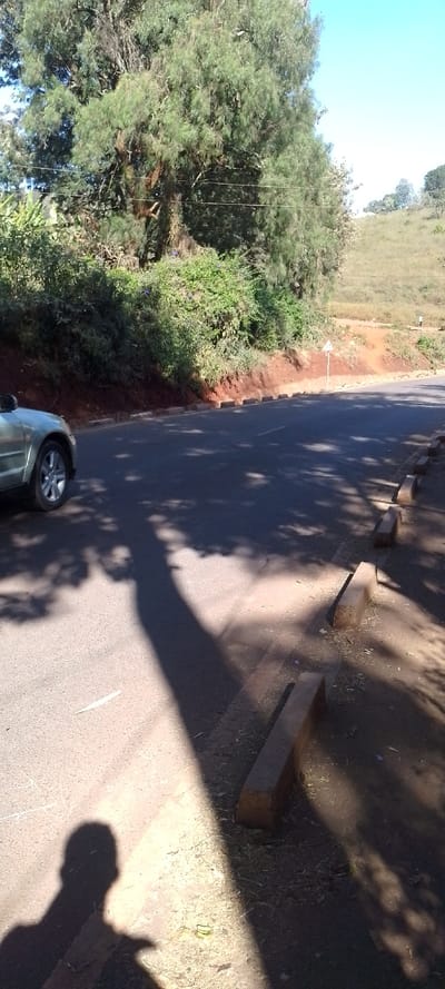 The image captures an outdoor scene in Ngong ward, Kenya, under bright daylight conditions. An asphalt road, dark grey in color, curves gently to the right and ascends slightly. Concrete curb blocks, roughly hewn and light brown, line both sides of the road. On the far left, the front left portion of a light-colored car, appearing to be an SUV or crossover, is visible, parked or stationary on the road's edge. A substantial tree with dense, light green foliage dominates the left side of the frame, with utility wires faintly discernible through its branches. A steep embankment of reddish-brown soil and lush green vegetation borders the road on the left. To the right, a grassy, dry hillside slopes upwards into the distance, with a small, indistinct human figure visible walking near the horizon. A white triangular road sign with a red border and a black internal cross symbol is positioned on the right shoulder of the road. Long, distinct shadows, including the shadow of a person (likely the photographer) holding a device, are cast across the road and the adjacent dirt and gravel shoulder from the lower left, indicating strong sunlight.