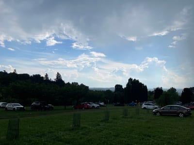 The image depicts an outdoor parking area in Niemcza, Poland, characterized by a vast, overcast sky filled with dramatic clouds. The foreground is a grassy field with several young trees enclosed in protective netting. A dirt path runs through the middle of the field, and a line of parked cars is visible on either side of it. Among the vehicles are a black SUV, a white hatchback, a red convertible, and a dark brown sedan. In the background, a dense line of trees forms a dark silhouette against the lighter sky, suggesting a forested area bordering the parking lot. The overall impression is one of a semi-rural or park-like setting on a cloudy day.