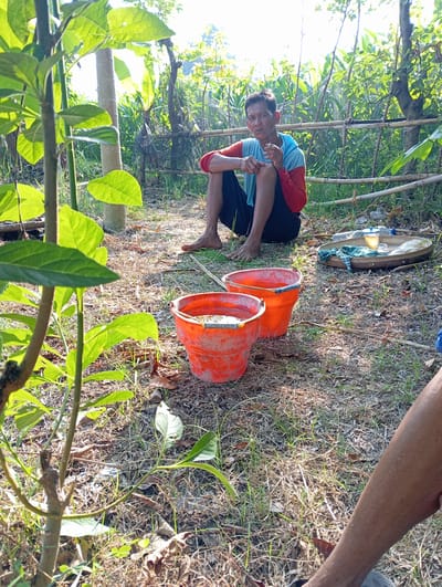 The image captures an outdoor scene, likely in a rural or garden setting, under bright natural light. The primary subject is a man, appearing to be middle-aged, with short dark hair. He is squatting barefoot on the ground, facing towards the viewer. He wears a two-toned long-sleeved shirt, blue on the upper half and red on the lower half of the sleeves and torso, and dark trousers or shorts. He holds a lit cigarette between the fingers of his right hand, which rests near his left knee. His expression is somewhat neutral or contemplative.
Beside the man, to his right, are two orange plastic buckets, appearing weathered and dirty, suggesting practical use. Further back and to the right, a wooden tray or board rests on the ground, holding two plastic bottles, one appearing to contain water, and a folded piece of cloth.
The ground is covered with a mix of dry grass, green patches, and fallen leaves. Various plants and foliage are visible throughout the frame, including large green leaves in the foreground, suggesting close-up vegetation. In the background, there are thin bamboo poles erected vertically, possibly forming part of a fence or plant support structure. Trees and bright sunlight filtering through the leaves are visible in the upper left background, indicating an open-air environment. The overall impression is a moment of rest or observation in a natural, rustic setting. No visible text is discernable on any objects in the image.