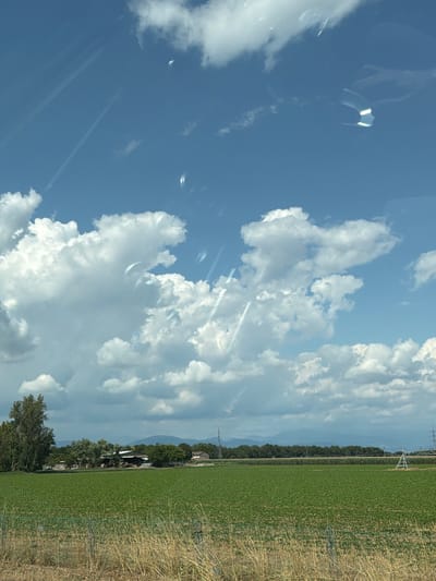 A wide shot captures a vibrant green agricultural field under a vast blue sky dotted with fluffy white clouds. In the distance, a line of trees borders the field, behind which are the rooftops of rural buildings. Further back, a range of hazy blue mountains stretches across the horizon. The foreground is dominated by dry, golden grasses and a thin, wire fence. On the right side of the image, a tall, white A-frame structure, likely part of an irrigation or agricultural system, stands within the field. The scene is characteristic of the rural landscape found in areas like Chiasottis / Cjasotis, Italy, which are known for their agricultural plains and proximity to mountainous terrain.