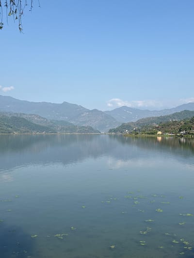 The image depicts a serene landscape in Pokhara, Nepal, likely near Phewa Lake. Mountains covered in green vegetation are visible in the background, reflected in the calm water of the lake, which also has patches of aquatic plants floating on its surface. The sky is clear and blue.