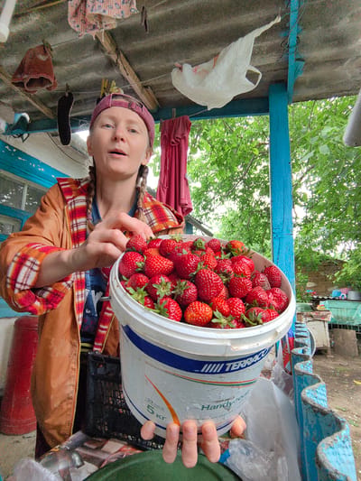 A woman with blonde hair in two braids, wearing a red and white plaid jacket and a pink baseball cap, holds a large white bucket filled with fresh strawberries. She is standing outdoors, under a corrugated roof supported by blue wooden beams. Laundry hangs on a clothesline above her. The background shows greenery and a rustic, weathered building. The scene suggests a rural or semi-rural setting, possibly a dacha or farmyard, consistent with locations in the Зуйское сельское поселение, Ukraine. The woman appears to be presenting the harvested strawberries.