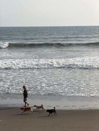 An adult male walks barefoot on the wet, dark grey sand of a beach in Belalang, Indonesia. He wears a dark blue sleeveless top, light-colored shorts, and sunglasses, holding a long, dark pole or stick over his right shoulder. The man is positioned in the lower-left quadrant of the frame, moving from left to right. Three dogs accompany him: a medium-sized light brown and white dog immediately to his right, a smaller tan dog further right, and a dark brown/black dog positioned at the far right of the group. All three dogs are walking or trotting alongside the man. To their left is the ocean, featuring dark grey-blue water with several white-capped waves breaking and receding towards the shore. The horizon line is visible, separating the ocean from a pale, clear sky that fills the upper third of the image.