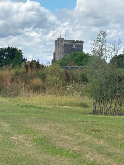 The image captures a distant view of a stone church tower with battlements and a small arched window. The tower is partially obscured by lush green trees and tall, dry grasses. In the foreground, a well-maintained grassy lawn stretches across the frame. To the right of the frame, a decorative fence made of woven branches stands in the grass, with a small sapling growing behind it. The sky above is partly cloudy with patches of blue. This scene is likely located in the Borough of Swale, United Kingdom, as suggested by the architectural style of the church and the surrounding natural landscape.