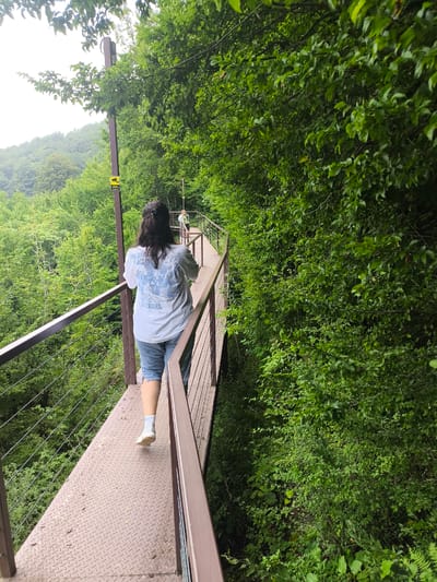 The image shows a walkway in a densely forested area, likely in the vicinity of Gaghma Nogha, Georgia. A woman with dark hair is walking away from the camera on the metal walkway, which is bordered by a railing. She is wearing a white t-shirt with a blue graphic and blue shorts. To the left of the walkway, there is a steep, wooded slope covered in lush green trees. To the right, the trees are dense and form a thick wall of foliage. In the background, another person is visible further down the walkway. A pole with a security camera and a yellow warning sign is also visible near the woman. The overall atmosphere is one of natural beauty and seclusion.