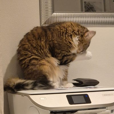 A brown tabby cat contorts its body while resting against a white wall and printer. The cat's head is near a silver-framed object, possibly a picture frame or mirror. The cat's curled body extends down along the printer. Its white paws are visible near the top of the printer, and its striped tail hangs down at the bottom.