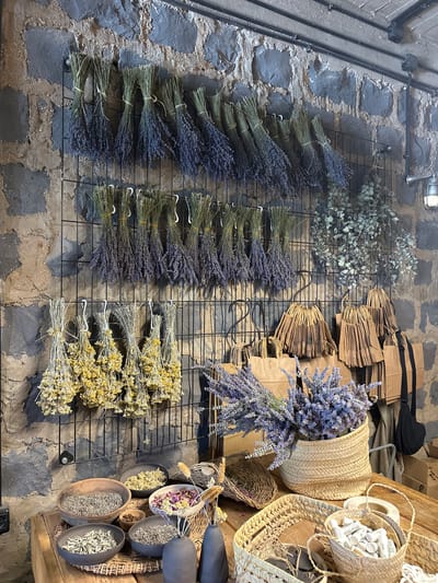 This image captures a rustic display of dried herbs and flowers, likely in a market or artisanal shop setting. The dominant subjects are bundles of dried lavender, eucalyptus, and other herbs, meticulously hung on a black wire grid against a textured stone wall. The lavender is a deep purple, while the eucalyptus is a muted green and gray. Interspersed with the bundles are woven baskets filled with various dried botanicals, including what appear to be rose petals and small buds. Several small, cylindrical tubes with labels are visible in one of the baskets. Brown paper bags are stacked in the background, some with visible text that appears to be a logo or brand name, "Sade". The lighting suggests it is daytime, with a bright light fixture visible on the wall. The overall atmosphere is one of natural abundance and artisanal craftsmanship. The location context of the Golan Regional Council, Israel, may suggest a Mediterranean or Middle Eastern influence in the selection and presentation of the dried goods.