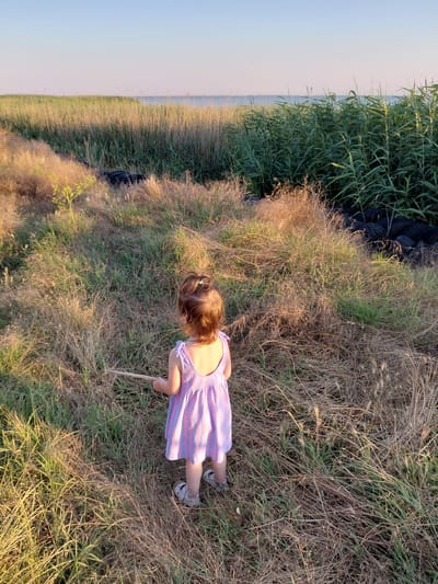 A young girl, seen from behind, stands in a grassy field near tall reeds and a body of water. She wears a pink and purple striped dress and white sandals. Her hair is brown and pulled back. She is holding a thin stick, possibly exploring the natural environment. The sun is low in the sky, casting long shadows and illuminating the dry grass with a warm, golden light, suggesting it is either early morning or late afternoon. The background shows a hazy expanse of water and a clear sky, with a dark, possibly discarded object visible near the reeds. The scene evokes a sense of calm and quiet exploration in a natural setting. The location is identified as Vasylivka, Ukraine.