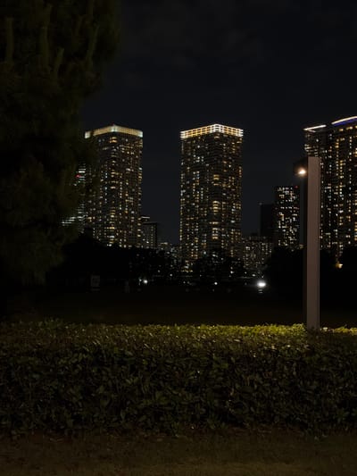 The image depicts a nighttime view of the Toyosu area in Koto, Japan, characterized by towering residential buildings illuminated by numerous windows. In the foreground, a manicured hedge borders a grassy area, with a tall lamppost on the right side of the frame emitting a warm glow. To the left, the dark silhouette of a large tree with dense foliage partially obscures the view of the cityscape. The sky is dark, indicating nighttime, and a few clouds are visible. The buildings display a grid-like pattern of lit windows, suggesting that many residents are home. The overall impression is one of a modern, densely populated urban environment at night.