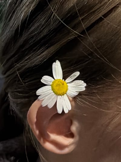 A close-up shot captures a single daisy placed near a person's ear, nestled amongst dark hair. The daisy, with its white petals and yellow center, appears fresh, with a few tiny water droplets visible on its petals. The person's ear is slightly visible behind the flower, a pale pink against the dark hair. The background is blurred, suggesting a shallow depth of field and drawing focus to the flower and ear. The lighting is soft, hinting at natural light, possibly during daylight hours. The overall impression is one of delicate simplicity and natural beauty. There is no visible text in the image.