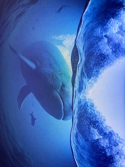 The image depicts a blue whale swimming in deep blue water, close to a large, textured object that appears to be a rock formation or the side of a cave. The whale is mostly in the left half of the frame, with its head and a portion of its body visible. It appears to be facing towards the right. There is a smaller fish silhouetted in the lower left portion of the image. The water is illuminated, suggesting a light source from above or the right. The overall impression is one of an underwater scene. There is no indication of the city of Cadek, Indonesia, or any other geographical location.