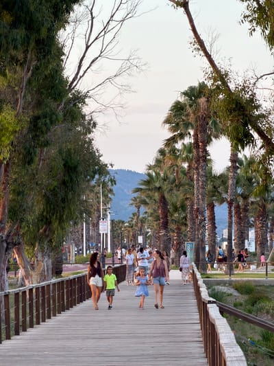 This media file depicts a scene along a wooden boardwalk lined with palm trees, with a mountain range visible in the background. The time of day appears to be late afternoon or early evening, as indicated by the warm, soft lighting. The sky is overcast, suggesting a pleasant, mild weather.

Several people are scattered along the boardwalk, engaged in various activities. Some are walking, while others appear to be standing and conversing. A group of individuals, including children, are walking together on the boardwalk, with one child in a blue dress. Another person in a neon green shirt is jogging. A woman in a purple top and shorts is walking with a woman in a white top and shorts.

The boardwalk is made of wooden planks and features a wooden railing with metal accents. A set of wooden stairs leads down from the boardwalk in the foreground. To the left of the boardwalk, there is lush greenery and trees, including a large, gnarled tree with bare branches in the foreground. In the distance, beyond the palm trees, there are buildings and signs, one of which reads "UGU" in blue letters. The overall atmosphere seems relaxed and leisurely, consistent with a seaside promenade. The location context is Castelló de la Plana, Spain.