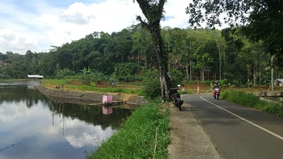 This image captures a serene rural landscape in Kecamatan Panjalu, Indonesia, featuring a lake or reservoir, a road, and a lush forested hillside under a partly cloudy sky.

On the left, a calm body of water occupies the foreground, reflecting the sky and surrounding trees. Its edge is reinforced by a stone embankment, along which several people are visible, possibly engaged in fishing or relaxing. A small, white-roofed structure is situated near the far bank of the water. Closer to the viewer on the water's edge, a pink structure, possibly part of a water management system or fish farm, is visible.

In the mid-ground, a paved road runs parallel to the water. A large, gnarled tree with moss or lichen covering its trunk stands prominently to the right of the road, casting shadows. Parked beside this tree is a black scooter. Further along the road, a red scooter with two riders is actively traveling away from the viewer, navigating a gentle curve. Lush green grass lines both sides of the road and the water's edge.

The background is dominated by a dense, verdant hillside covered with a variety of tall trees, suggesting a rich forest or plantation. Hints of houses and cultivated land are interspersed within the foliage on the hillside.

The scene depicts daytime with bright, diffused sunlight, indicating fair weather with scattered clouds visible in the sky. The overall atmosphere appears peaceful and ordinary, capturing a moment of daily life in a natural setting. There is no visible text in the image.