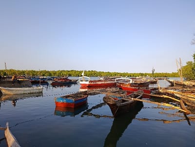 The image depicts a harbor or bay in Vanga, Kenya, filled with numerous small, traditional wooden fishing boats. The sky is clear and pale blue, occupying the upper portion of the frame. The water is calm and dark blue, reflecting the sky and the vessels. A dense line of green vegetation, consistent with mangroves, forms the distant shoreline, spanning the horizon.
Approximately two dozen wooden boats are moored or anchored in the water, varying in size and color, including red, blue, white, and unpainted natural wood. Several boats exhibit signs of use and wear. A prominent red and white boat in the mid-ground right features the identification "T-4523-M" on its hull. Another red and blue boat in the mid-ground center-left displays "V.C.I.P." on its bow. Many boats appear to contain fishing nets or other equipment. Some are equipped with long wooden poles or oars.
One individual is visible seated on a low concrete wall or the edge of a larger boat at the far left of the scene. No specific actions or interactions are clearly discernible for this individual. The lighting is natural and even, consistent with daylight.