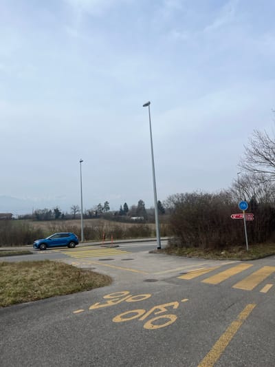 An outdoor, static shot captures a road or pathway in what appears to be a semi-urban or rural setting, likely in Meyrin, Switzerland, under an overcast sky. The image, when correctly oriented, shows the sky at the top.

In the foreground and midground, an asphalt road or bicycle path is visible, marked with distinct yellow symbols. A yellow bicycle icon is painted on the path, indicating a bike lane. Further along, a pedestrian zebra crossing with parallel yellow stripes spans the width of the path. A blue car, possibly a compact SUV, is parked or stationary on the left side of the road, facing away from the viewer.

Two tall, slender streetlights with lamp fixtures at their tops stand vertically near the road. On the right side of the path, a signpost displays multiple signs. A circular blue sign with a white bicycle symbol denotes a mandatory bicycle path. Below it are two rectangular red directional signs with white arrows; one points to the left, and the other, which includes the text "CHÂTEAU," points to the right.

Beyond the immediate roadside, a wooded area with bare trees lines the right side of the scene, suggesting winter or early spring. On the left, an open field stretches towards distant hills or mountains that are partially obscured by atmospheric haze under the pale, cloudy sky. No human activity is depicted. The weather appears dull and cool due to the dense cloud cover.