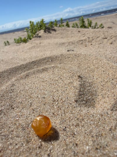 An amber-colored gem rests on the sand, casting a shadow to its right. The beach is covered in fine, light brown sand with specks of darker particles and reflective elements. In the background, several small green plants grow on a sand dune. Beyond the dune, the sea is visible under a bright blue sky with scattered white clouds. The overall scene depicts a sunny day at the beach in Bātciems, Latvia.