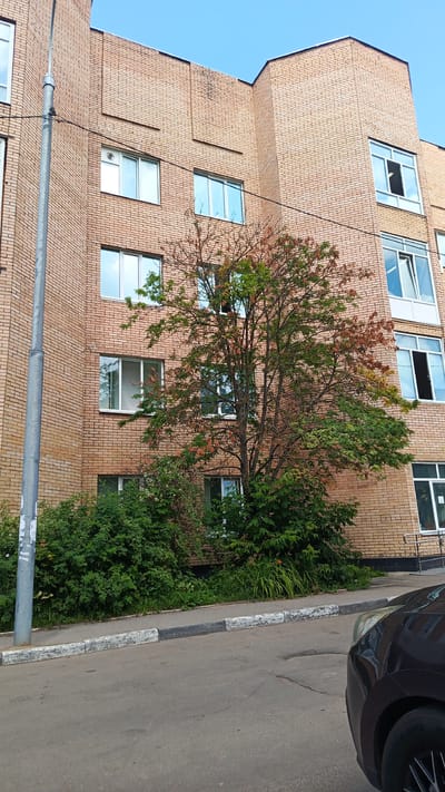 The image shows a brick building with several windows and a tree in front of it. A street and sidewalk are in the foreground, and a dark car is partially visible on the right side of the image. The sky is blue and clear. The building appears to be residential or institutional, and the tree is shedding leaves, suggesting it may be autumn. The scene is typical of an urban environment in Zvenigorod, Russia.